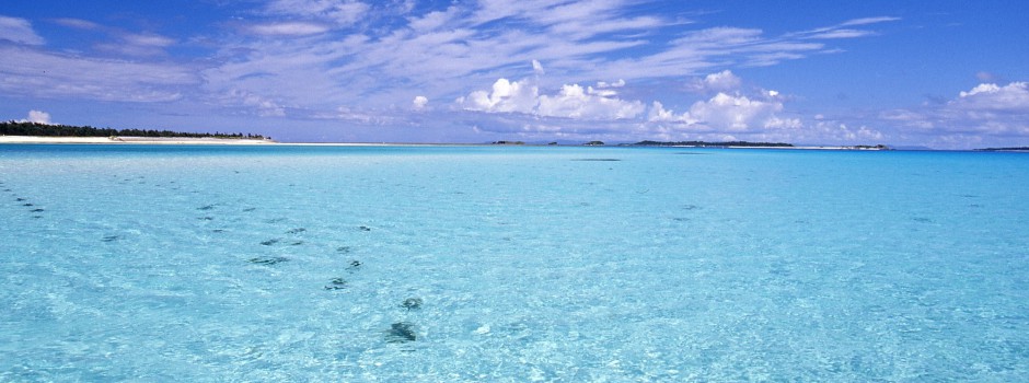 沖縄の海